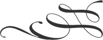 ornament_left_dark.png
