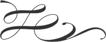 ornament_right_dark.png